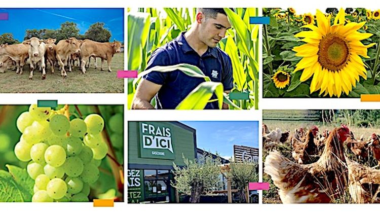 EN FUSION - Vivadour et Terres du Sud autorisés à s’associer